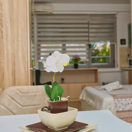Cozy Near Square 21 Tirana