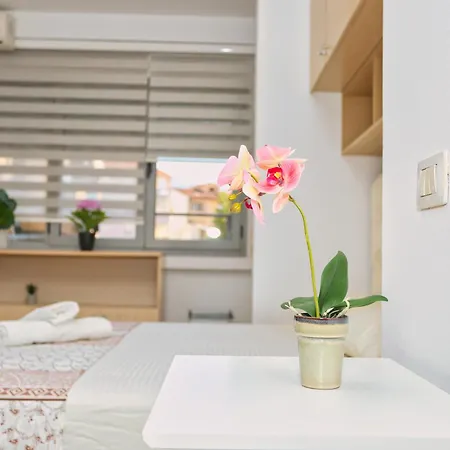 Apartment Cozy Near Square 21 Tirana
