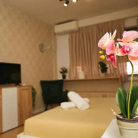 Cozy Near Square 21 Apartment Tirana